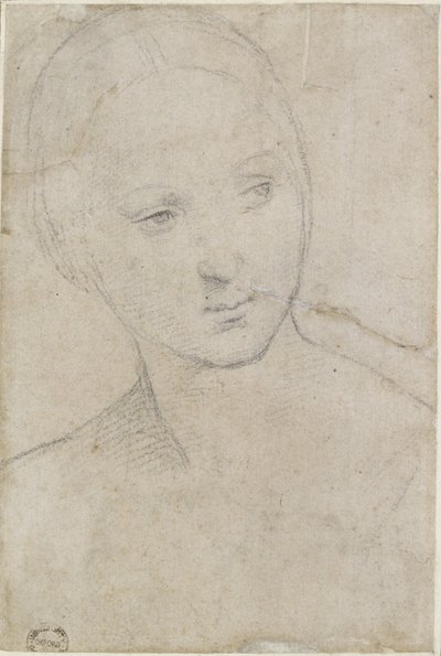 Recto: Studie van het Hoofd van een jonge Vrouw, WA1846.157 door Raffaello Sanzio Raphael